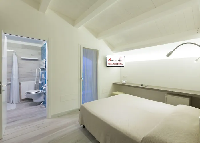 Biancaneve Wellness 3* Marotta